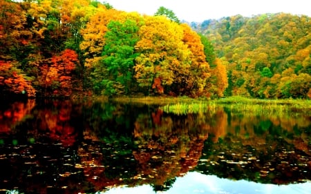 AUTUMN is COMING - season, nature, autumn, lake, trees, forest