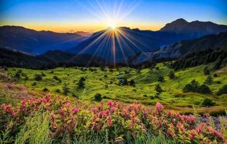 Sunset on Mt. Hehuanshan - trees, hills, water, Hehuanshan, Taiwan, mountain, flowers, wildflowers, sunset, rays, field, mountains, sun