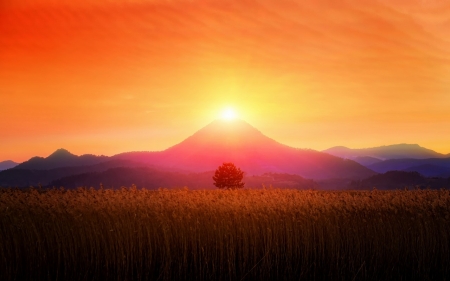 Sunset - nature, sunset, mountain, grass