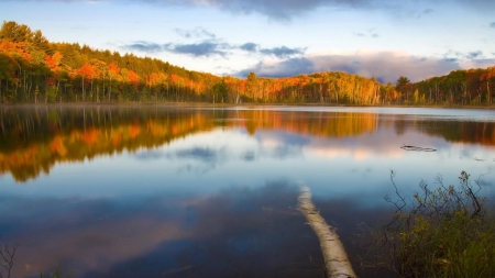 Peaceful Lake - lake, trees, nature, autumn