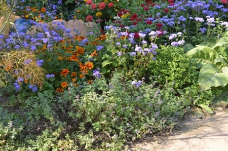 Flower Beds - blossoms, summer, path, plants, park, colors