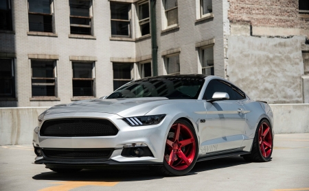 Mustang - tint, ford, red rims, silver