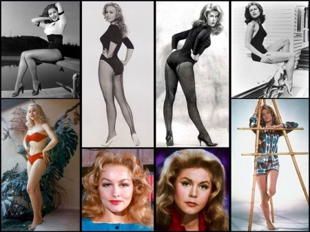 Julie Newmar and Elizabeth Montgomery - actresses, Julie Newmar, Elizabeth Montgomery, Julie Newmar and Elizabeth Montgomery