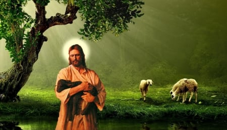 With lost sheep - christ, sheep, love, jesus, shepherd