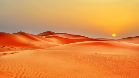 pure golden desert - dunes, sunset, desert, golden, sand