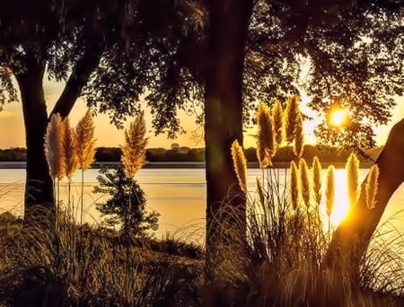 White Rock Lake / Sunset - pretty, Sunset, Lake, Nature