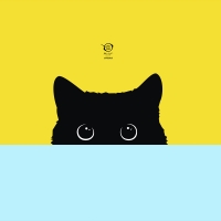 Kitty