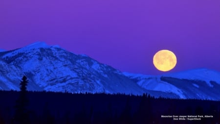 Moonrise - North America, moon, blue, Night, Canada, mountains