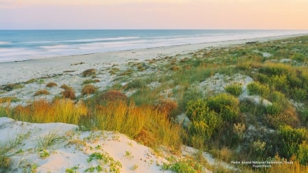 Padre Island - Texas, dunes, USA, ocean, Beach, seashore