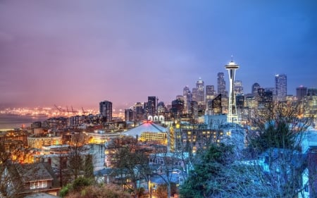 seattle panorama at night hdr - tower, lights, city, trees, night, hdr