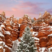 snow in red canyon state park in utah