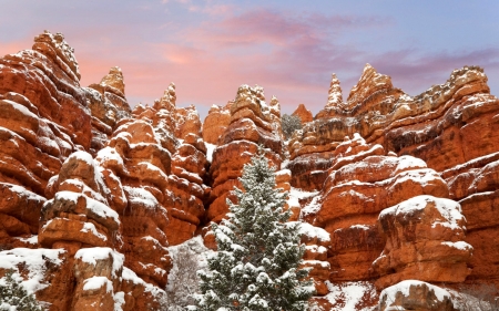 snow in red canyon state park in utah - rocks, cliffs, canyon, trees, snow