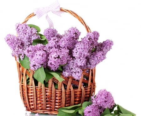 Basket of Flowers - flowers, basket, bloom, lilac