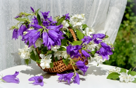 Flowers - basket, jasmine, white, chimes, purple, flower, pink, still life