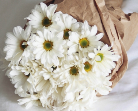 White Bouquet - white, bouquet, flowers, petals