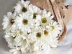 White Bouquet