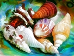 Shells