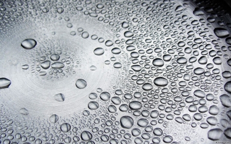 Waterdrops - abstract, raindrops, water, photography, drops, grey, waterdrops, rain, wallpaper