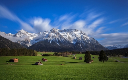 Alps - sky, alps, tree, nature, mountain