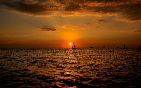 sailing in the sunset hdr - horizon, sea, sunset, sailboats