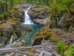 Silver Falls, Packwood, Washington