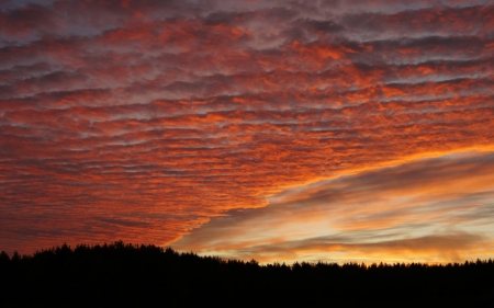 Sunset - nature, sky, sunset, cloud