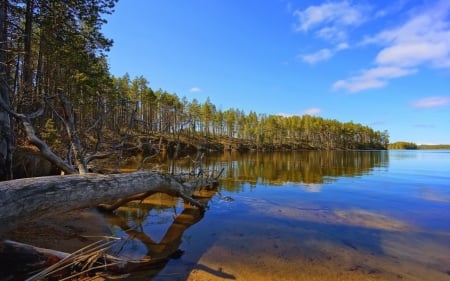 Lake - sky, lake, tree, nature