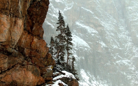 Mountain - nature, tree, mountain, snow