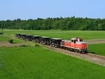 train in a field