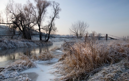 Winter - winter, sky, tree, snow