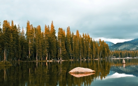 forest - nature, fun, lake, forest, cool