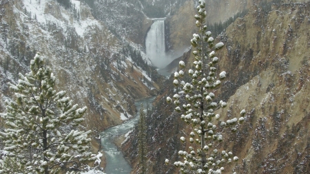 yellowstone waterfall in winter - gorge, trees, snow, winter, mountains, waterfall