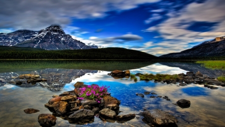 flowers in a beautiful lake hdr - sky, lake, rocks, flowers, mountain, hdr