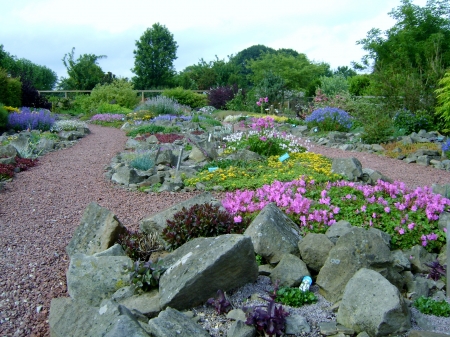 Rock Garden - rock, flowers, colour, garden