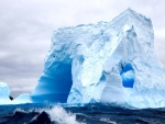 seagulls circling an antarctica iceberg