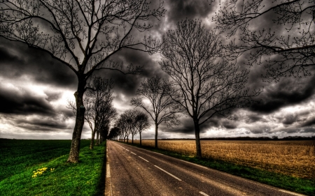 lonely highway in the countryside hdr - fields, trees, clouds, highway, hdr