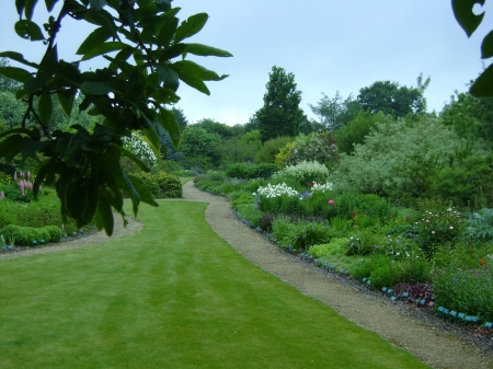 Tranquil Garden - flowers, colours, garden, green, tree