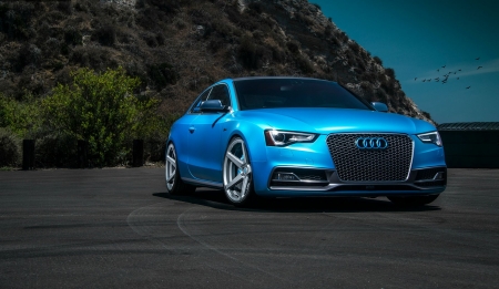 Audi 5S Coupe - audi, tint, custom wheels, blue