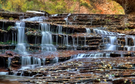 Waterfall in Zion Nat'l. Park, Utah - nature, forest, waterfall, usa