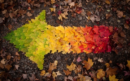 Autumn arrow - yellow, autumn, red, green, orange, leaf, arrow