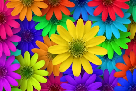 Colorful flowers - red, flower, purple, pink, yellow, blue, rainbow, texture, colorful, skin, green