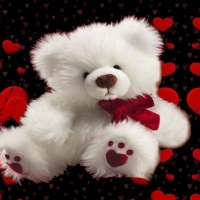 teddy bear