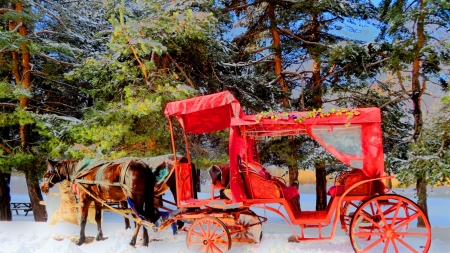 horses and carriage in turkey - horses, red, winter, carriage, trees