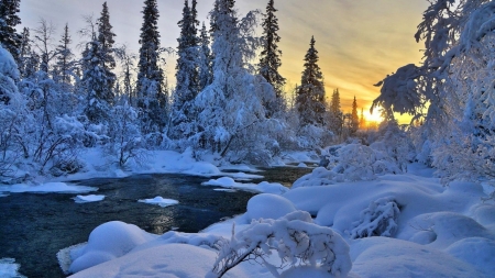 river in winter at sunset - trees, snow, river, winter, sunset