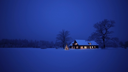 house on a wintry night - trees, winter, night, house, lights