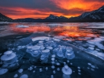 Abraham Lake