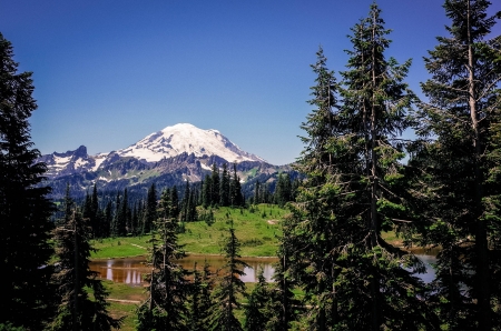 Chinook Pass - nature, fun, forest, mountain, cool