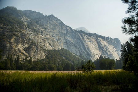 mountain - nature, fun, forest, mountain, cool