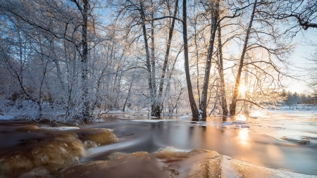 spectacular winter sunrise - ice, forest, river, winter, sunrise