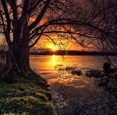 Lake Beaulieu, Coueron, France - nature, lake, sunset, france